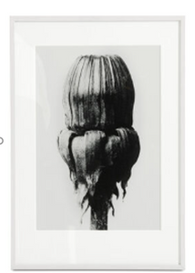 Arte con marco Common Dandelion, azu