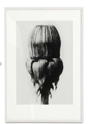 Arte con marco Common Dandelion, azu