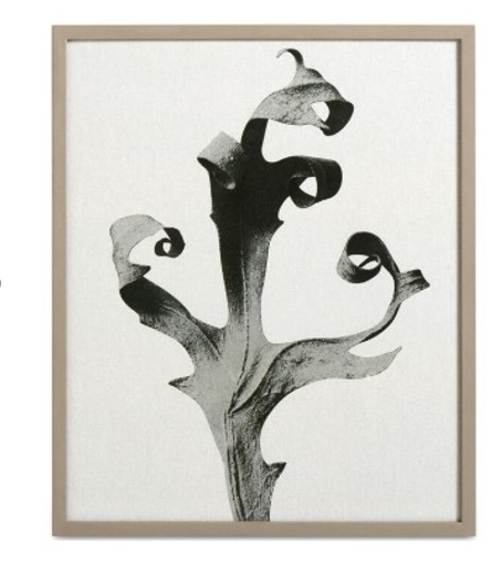 Delphinium Galería, negro/beige. A42xL52xF
