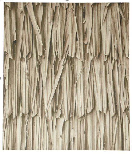 Layers of leaves gallery, color natural. A150xL120xF3cm.