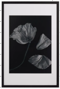 Foto arte Flora 2, negro/blanco. A73xL53xF3cm