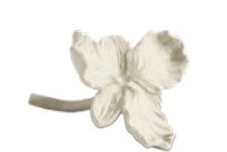 Escultura Orchid, gris cálido. A11½xL19xF15½cm