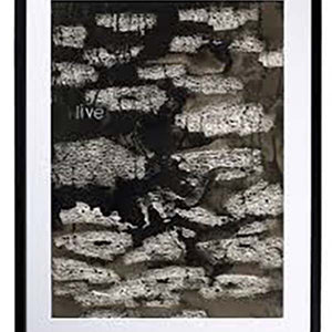 Foto arte Dark romantic beauty