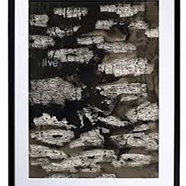 Foto arte Dark romantic beauty