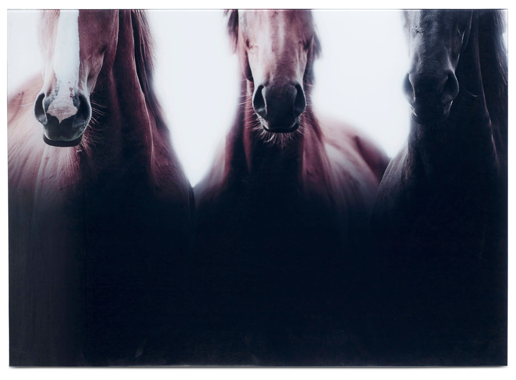 Arte con cristal Horses, cerámica negra/marrón. A80xL120cm