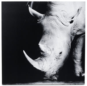 Rhino arte en aluminio, negro/gris. A100xL100cm