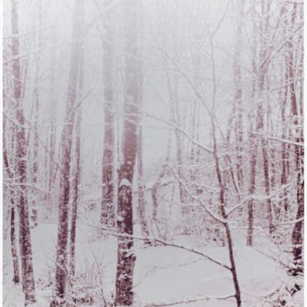 Impresión metálica White forest, blanco
