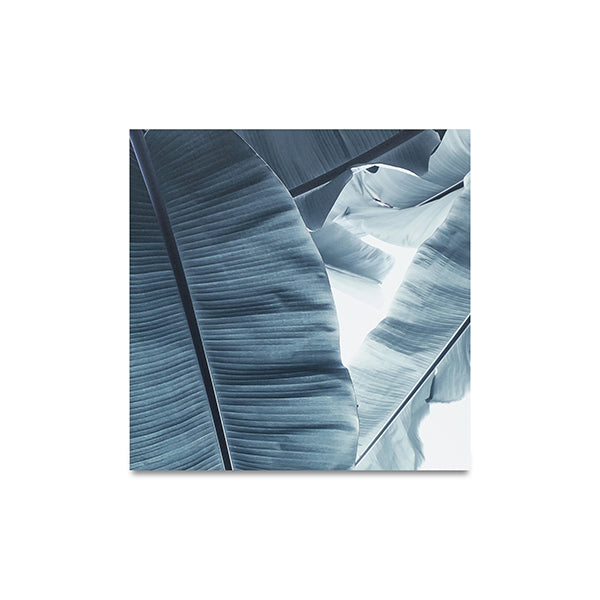 Impresiones en metal Botanic, Banana, varios colores