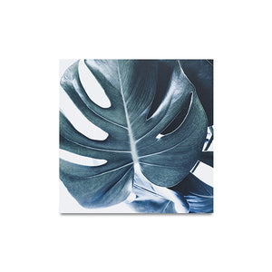 Impresiones en metal Botanic, Monstera, varios colores