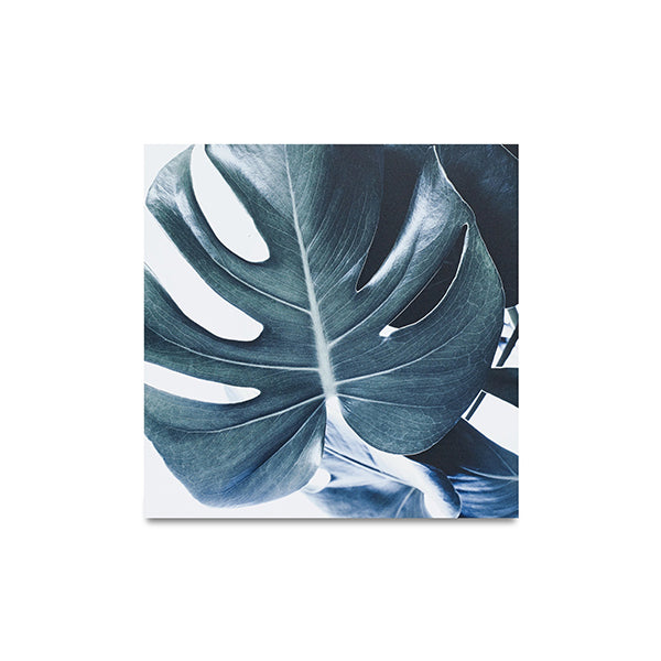 Impresiones en metal Botanic, Monstera, varios colores