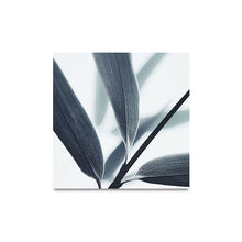 Cargar imagen en el visor de la galería, Impresiones en metal Botanic, hojas de Olivo
