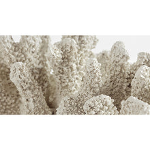 Cargar imagen en el visor de la galería, [Belize] Escultura de coral Belize, color natural
