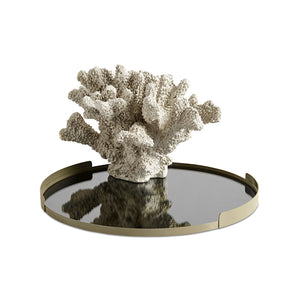 [Belize] Escultura de coral Belize, color natural