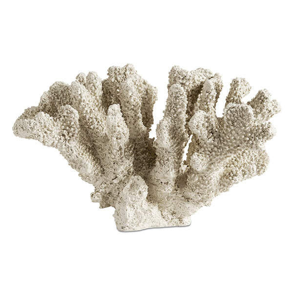 [Belize] Escultura de coral Belize, color natural