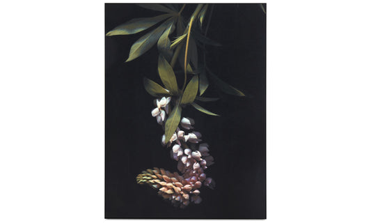 Herbarium I galería, negro/verde/morado