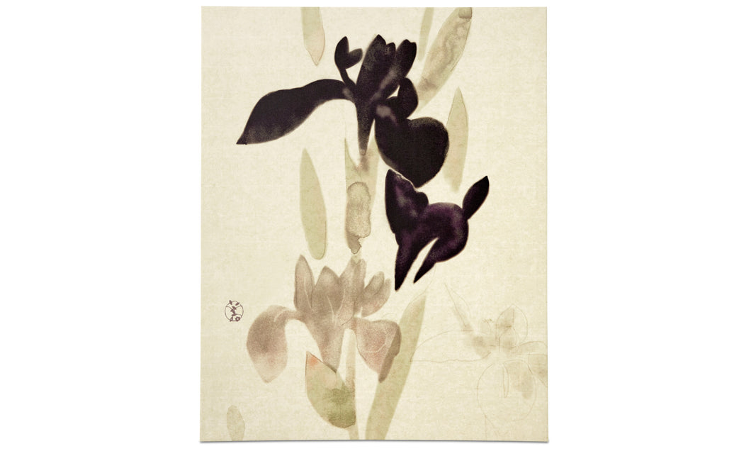 Hana No Ma I galería, color natural. A150x118